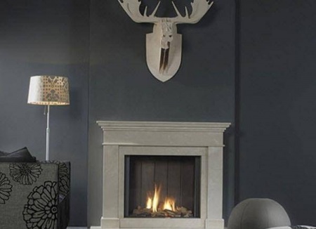 Газовый камин Faber Clear Газовый камин Faber Clear